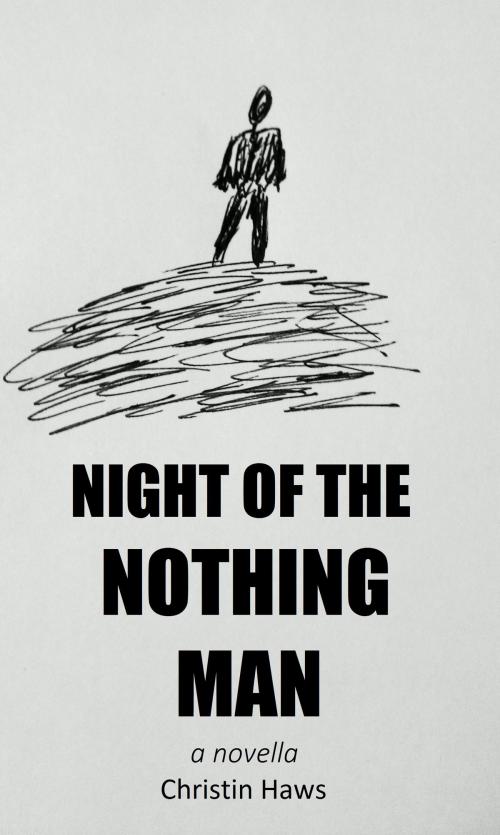 Cover of the book Night of the Nothing Man by Christin Haws, Christin Haws