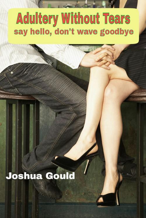 Cover of the book Adultery Without Tears: Say Hello, Don't Wave Goodbye by Joshua Gould, Joshua Gould