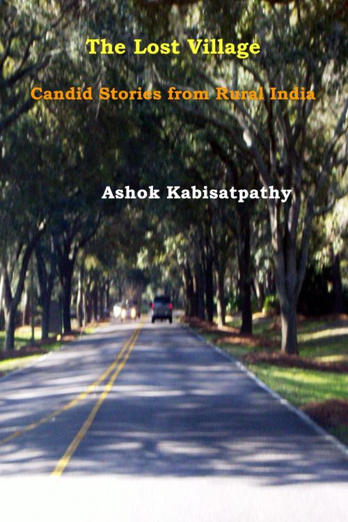 Cover of the book The Lost Village: Candid Stories from Rural India by Ashok Kabisatpathy, Ashok Kabisatpathy