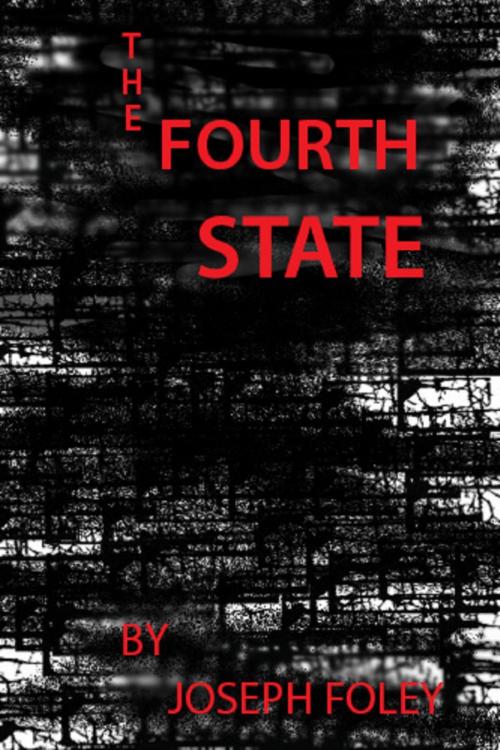 Cover of the book The Fourth State by Joseph Foley, Joseph Foley
