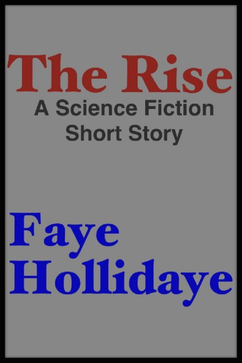 Cover of the book The Rise by Faye Hollidaye, Faye Hollidaye