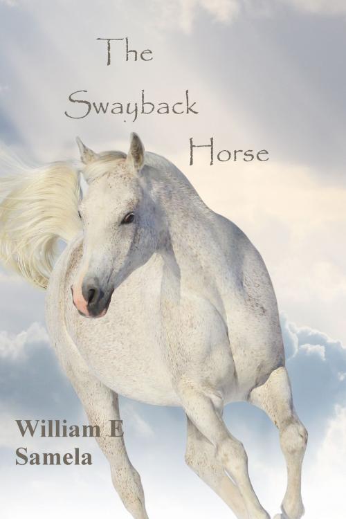 Cover of the book The Swayback Horse by William E Samela, William E Samela