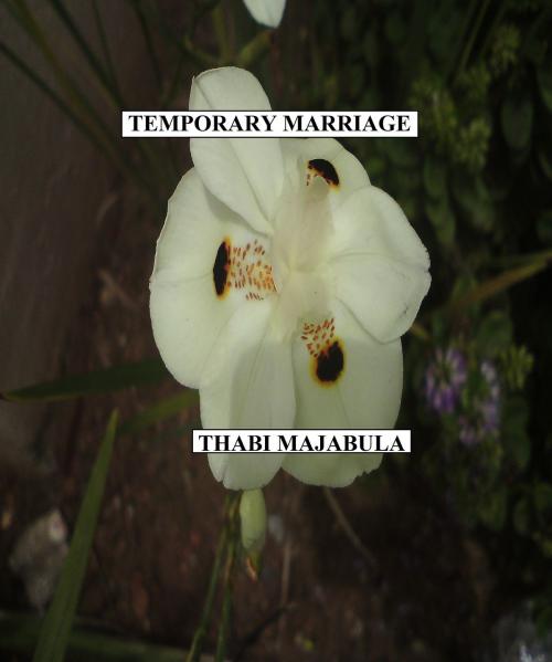 Cover of the book Temporary Marriage by Thabi Majabula, Thabi Majabula