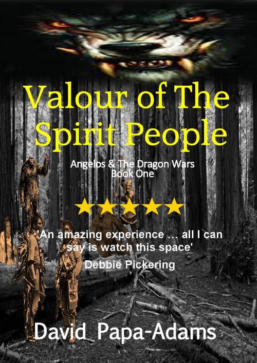Cover of the book Valour of the Spirit People by David Papa-Adams, David Papa-Adams