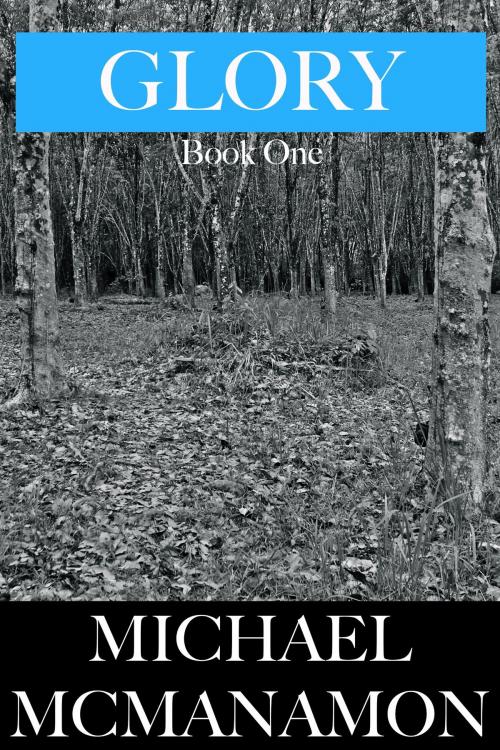 Cover of the book Glory: Book One by Michael McManamon, Michael McManamon