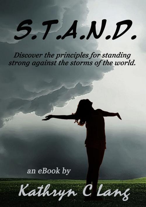 Cover of the book S.t.a.n.d. by Kathryn C. Lang, Kathryn C. Lang