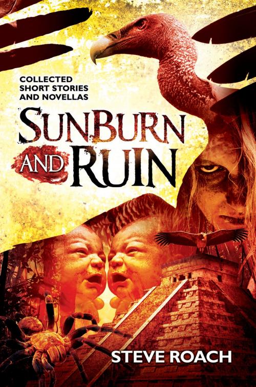 Cover of the book Sunburn and Ruin by Steve Roach, Steve Roach