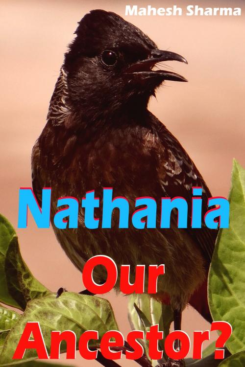 Cover of the book Nathania: Our Ancestor? by Mahesh Dutt Sharma, Mahesh Dutt Sharma