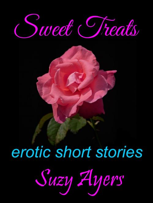 Cover of the book Sweet Treats by Suzy Ayers, Suzy Ayers
