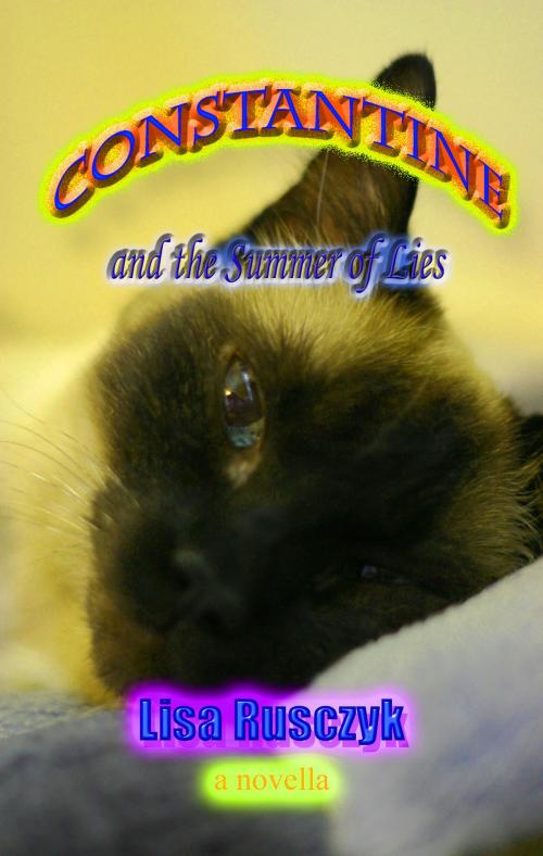Cover of the book Constantine and the Summer of Lies by Lisa Rusczyk, Lisa Rusczyk