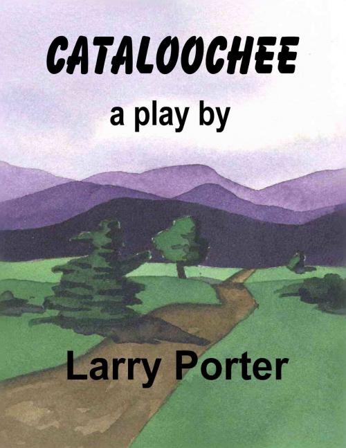 Cover of the book Cataloochee by Larry Porter, Larry Porter
