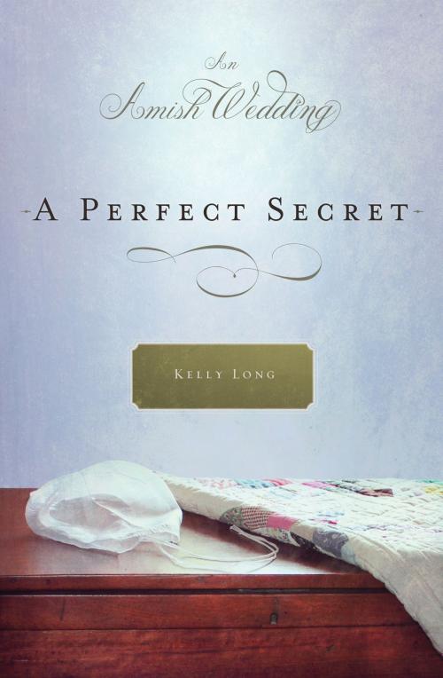 Cover of the book A Perfect Secret by Kelly Long, Thomas Nelson