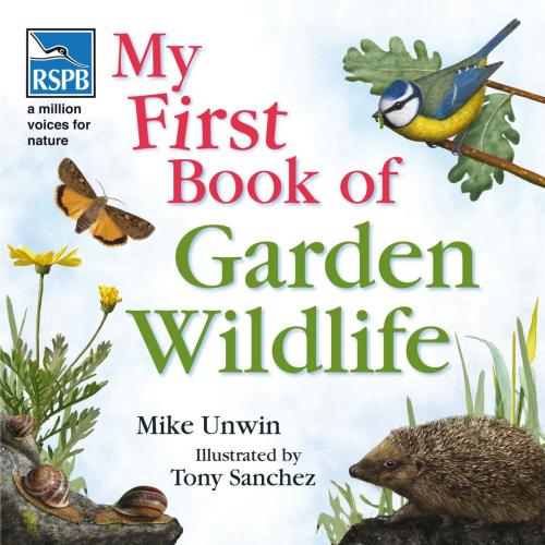 Cover of the book RSPB My First Book of Garden Wildlife by Mike Unwin, Bloomsbury Publishing