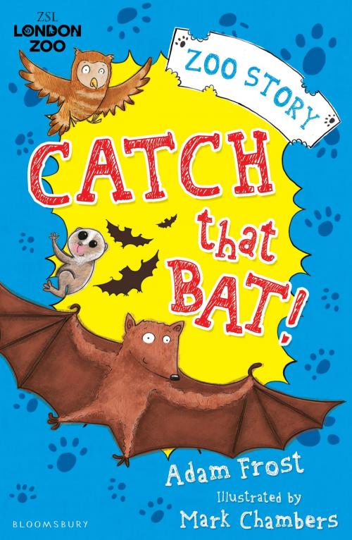 Cover of the book Catch That Bat! by Adam Frost, Bloomsbury Publishing