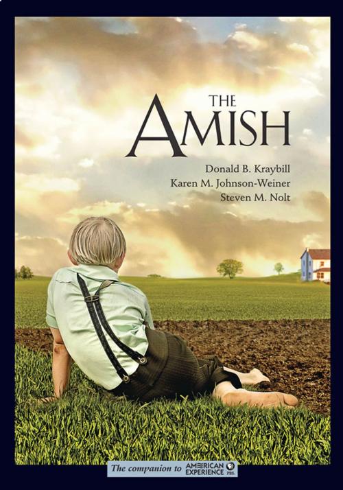 Cover of the book The Amish by Donald B. Kraybill, Karen M. Johnson-Weiner, Steven M. Nolt, The Johns Hopkins University Press