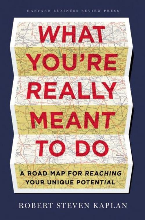 Cover of the book What You're Really Meant to Do by Robert Steven Kaplan, Harvard Business Review Press