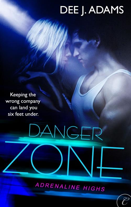 Cover of the book Danger Zone by Dee J. Adams, Carina Press