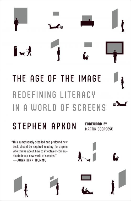 Cover of the book The Age of the Image by Stephen Apkon, Farrar, Straus and Giroux