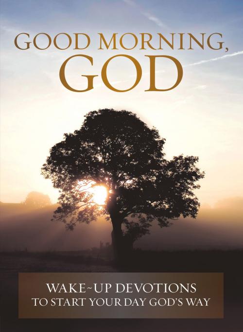 Cover of the book Good Morning, God by Cook, David C, David C. Cook