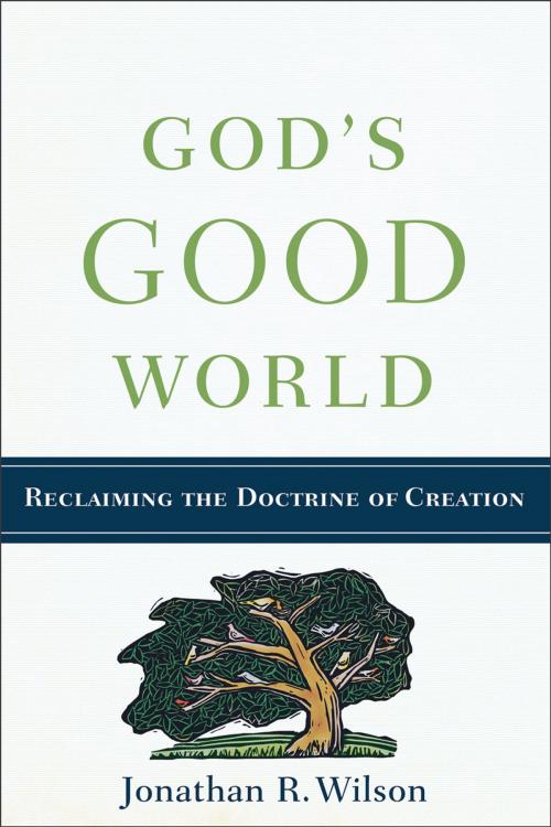 Cover of the book God's Good World by Jonathan R. Wilson, Baker Publishing Group