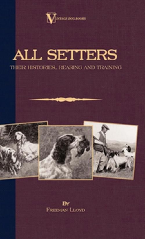 Cover of the book All Setters: Their Histories, Rearing & Training (A Vintage Dog Books Breed Classic - Irish Setter / English Setter / Gordon Setter) by Freeman Lloyd, Read Books Ltd.
