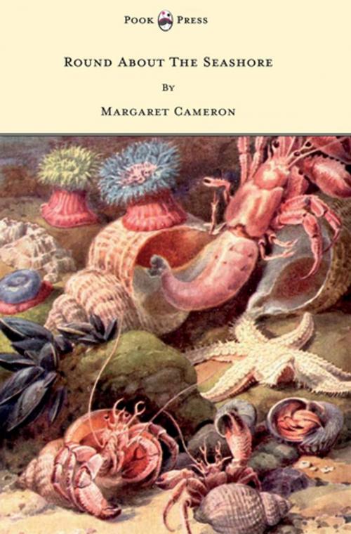 Cover of the book Round about the Seashore - With Eight Coloured Pictures by Margaret Cameron, Read Books Ltd.
