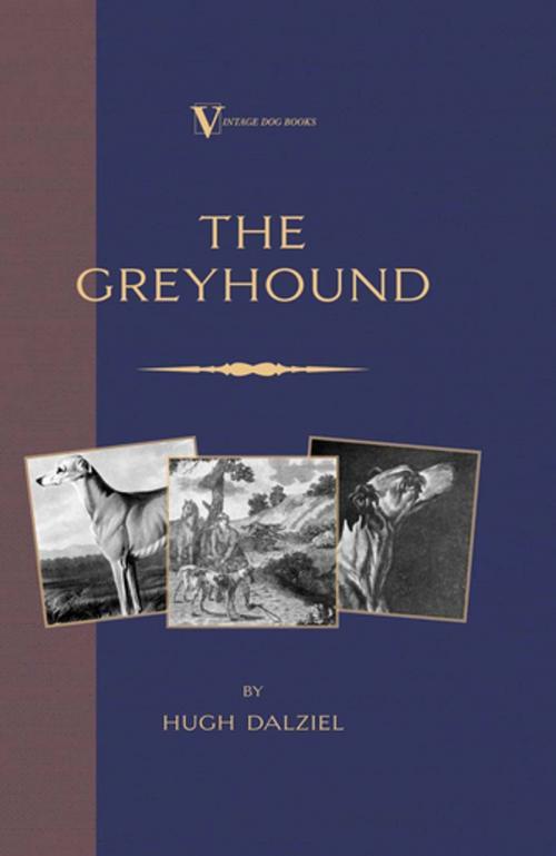 Cover of the book The Greyhound: Breeding, Coursing, Racing, etc. (a Vintage Dog Books Breed Classic) by James Matheson, Read Books Ltd.