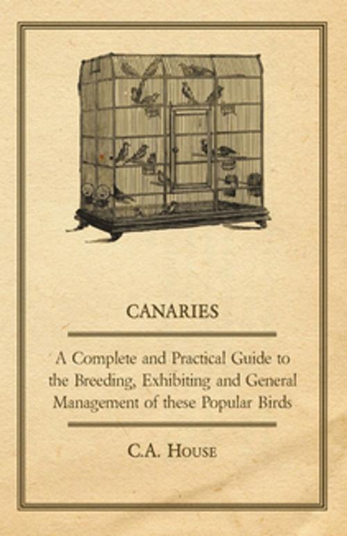 Cover of the book Canaries - A Complete and Practical Guide to the Breeding, Exhibiting and General Management of These Popular Birds by C. A. House, Read Books Ltd.
