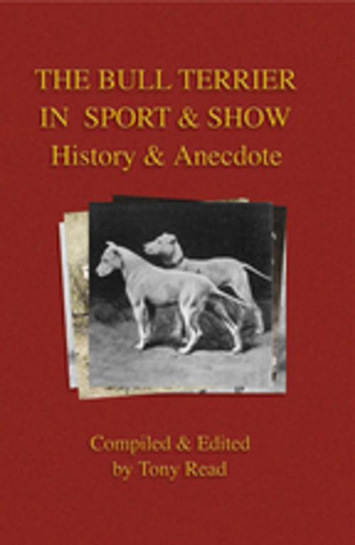Cover of the book The Bull Terrier in Sport And Show - History & Anecdote by Tony Read, Read Books Ltd.