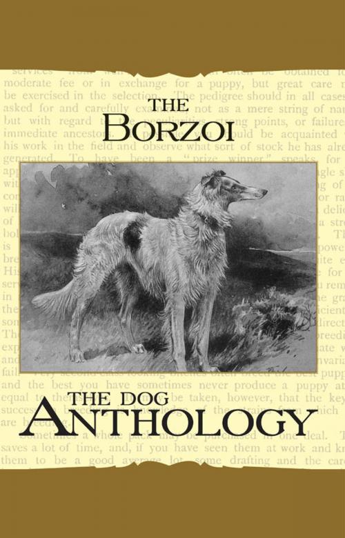 Cover of the book Borzoi: The Russian Wolfhound - A Dog Anthology (A Vintage Dog Books Breed Classic) by Various Authors, Read Books Ltd.