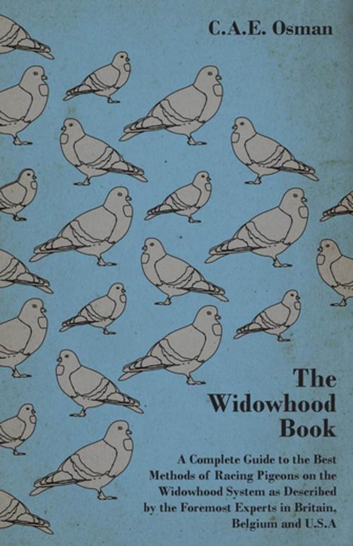 Cover of the book The Widowhood Book - A Complete Guide to the Best Methods of Racing Pigeons on the Widowhood System as Described by the Foremost Experts in Britain, B by C. A. E. Osman, Read Books Ltd.
