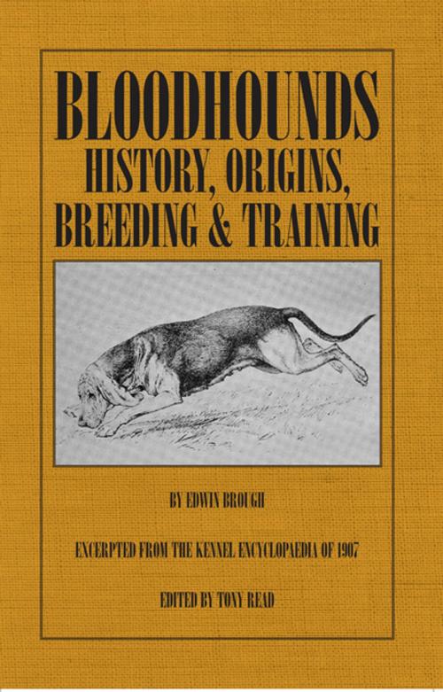 Cover of the book Bloodhounds: History - Origins - Breeding - Training by Edwin Brough, Read Books Ltd.