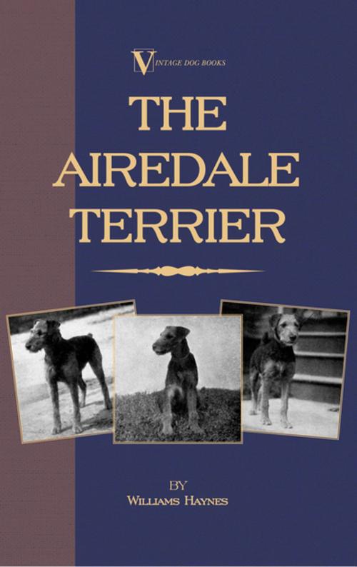 Cover of the book The Airedale Terrier by William Haynes, Read Books Ltd.
