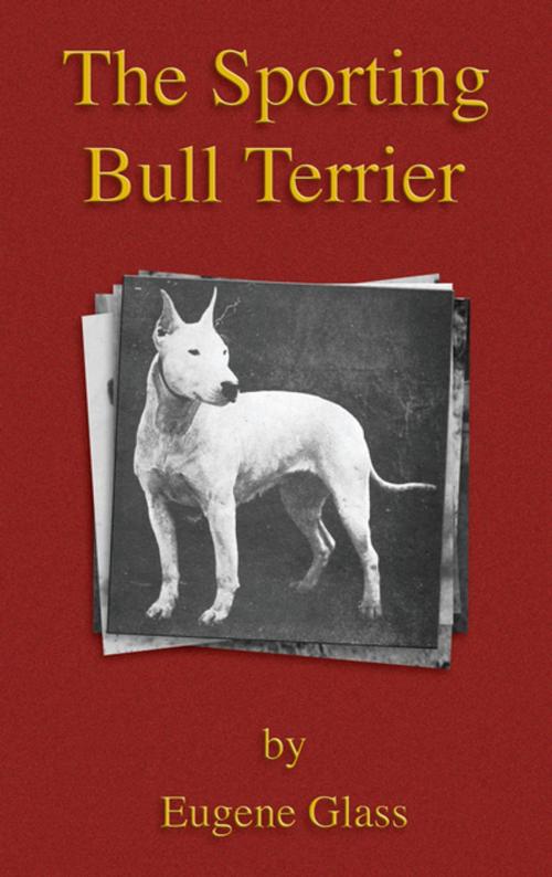Cover of the book The Sporting Bull Terrier (Vintage Dog Books Breed Classic - American Pit Bull Terrier) by Eugene Glass, Read Books Ltd.