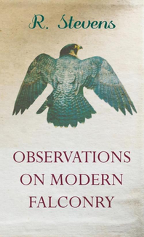 Cover of the book Observations on Modern Falconry by R. Stevens, Read Books Ltd.