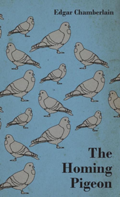 Cover of the book The Homing Pigeon by Edgar Chamberlain, Read Books Ltd.