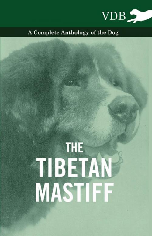 Cover of the book The Tibetan Mastiff - A Complete Anthology of the Dog by Vintage Dog Books, Read Books Ltd.