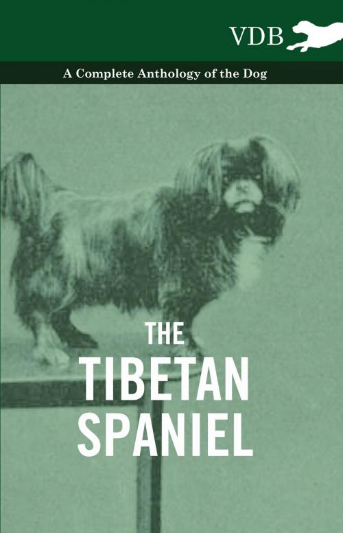 Cover of the book The Tibetan Spaniel - A Complete Anthology of the Dog by Various Authors, Read Books Ltd.