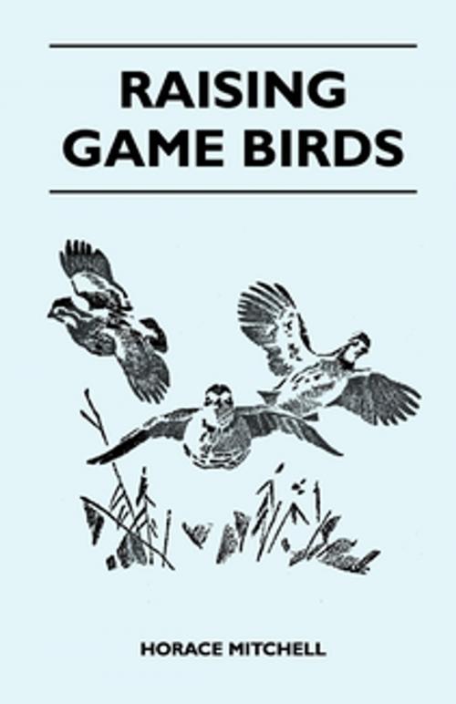 Cover of the book Raising Game Birds by Horace Mitchell, Read Books Ltd.