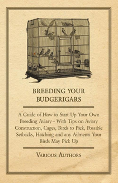 Cover of the book Breeding Your Budgerigars - A Guide of How to Start Up Your Own Breeding Aviary - With Tips on Aviary Construction, Cages, Birds to Pick, Possible Setbacks, Hatching and any Ailments Your Birds May Pick Up by Various Authors, Read Books Ltd.