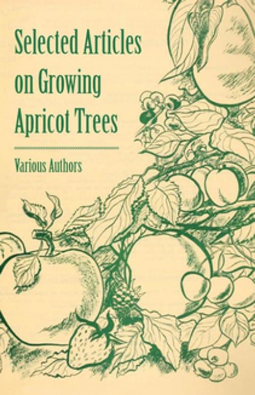 Cover of the book Selected Articles on Growing Apricot Trees by Various Authors, Read Books Ltd.