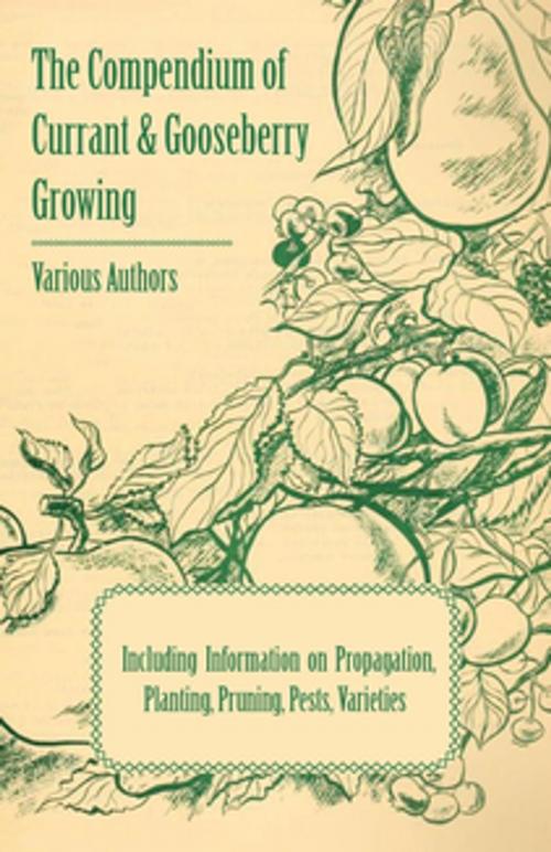 Cover of the book The Compendium of Currant and Gooseberry Growing - Including Information on Propagation, Planting, Pruning, Pests, Varieties by Various Authors, Read Books Ltd.