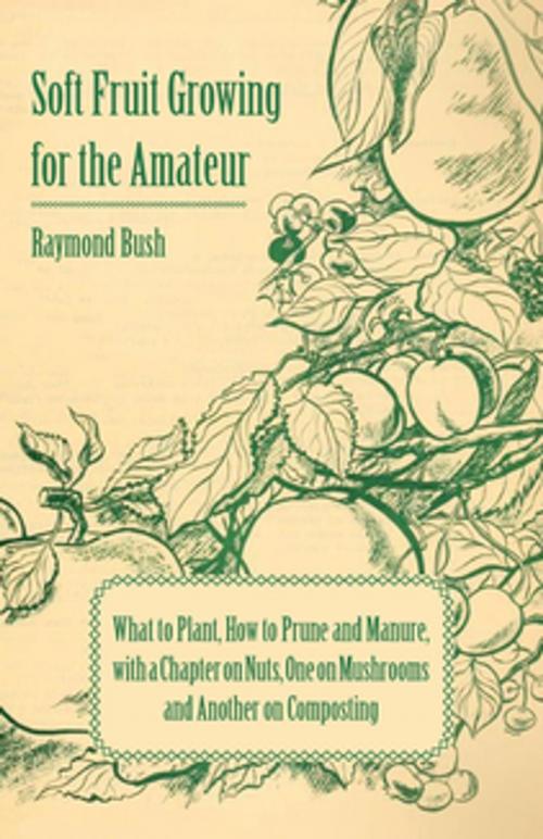 Cover of the book Soft Fruit Growing for the Amateur - What to Plant, How to Prune and Manure, with a Chapter on Nuts, One on Mushrooms and Another on Composting by Raymond Bush, Read Books Ltd.