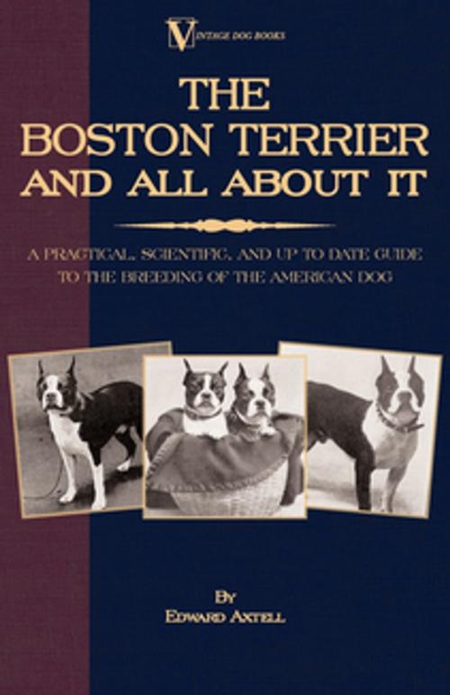 Cover of the book The Boston Terrier and All about It: A Practical, Scientific, and Up to Date Guide to the Breeding of the American Dog by Edward Axtell, Read Books Ltd.