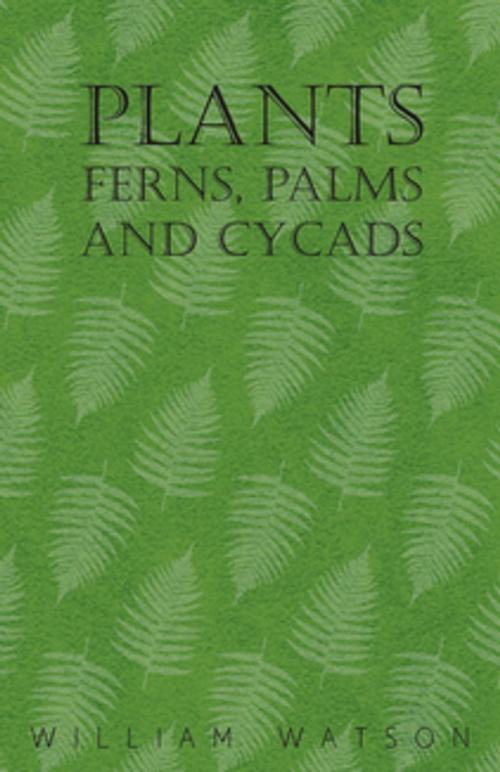 Cover of the book Plants - Ferns, Palms and Cycads by William Watson, Read Books Ltd.