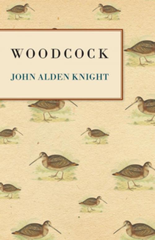 Cover of the book Woodcock by John Alden Knight, Read Books Ltd.