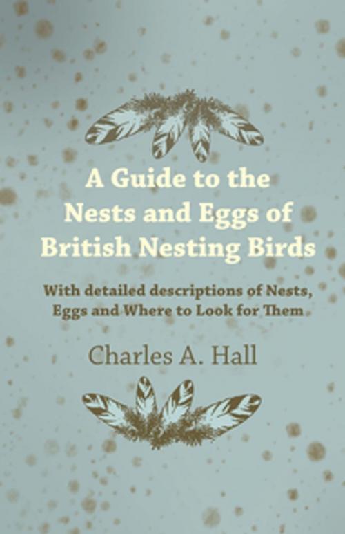 Cover of the book A Guide to the Nests and Eggs of British Nesting Birds - With Detailed Descriptions of Nests, Eggs, and Where to Look for Them by Charles A. Hall, Read Books Ltd.