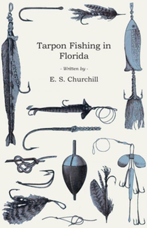 Cover of the book Tarpon Fishing in Florida by E. S. Churchill, Read Books Ltd.