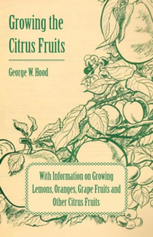 Cover of the book Growing the Citrus Fruits - With Information on Growing Lemons, Oranges, Grape Fruits and Other Citrus Fruits by George W. Hood, Read Books Ltd.