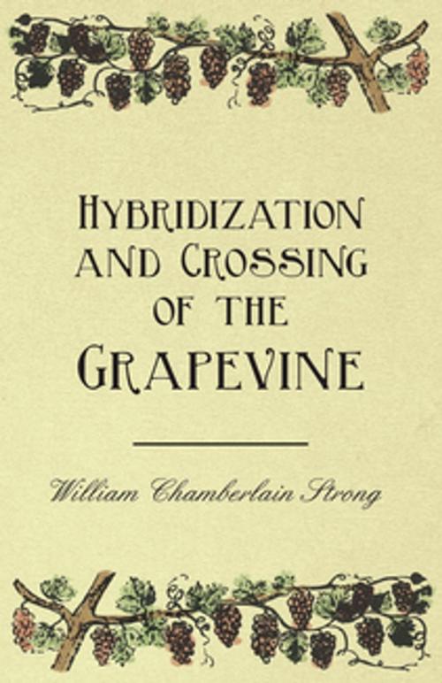 Cover of the book Hybridization and Crossing of the Grapevine by William Chamberlain Strong, Read Books Ltd.